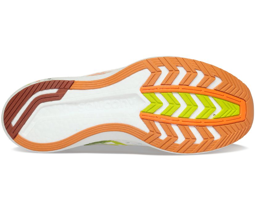 Saucony Endorphin Speed 2 Special Edition Erkek Koşu Ayakkabısı Kahverengi Kahverengi | T7ZBMY6